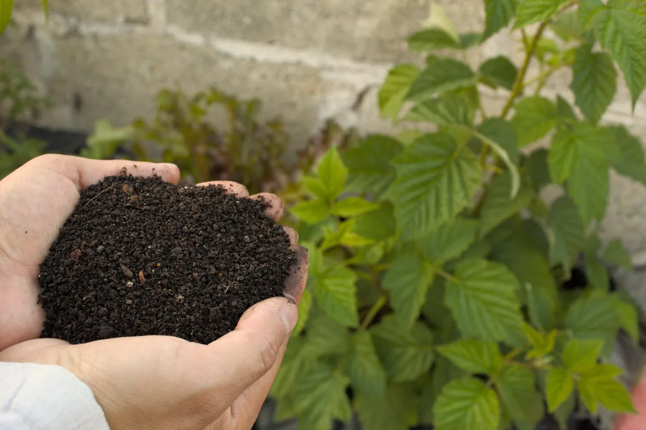 Guide rapide pour demarrer un compost familial